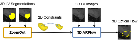 The NN analyzes 3D image pairs of cardiac cycle timesteps such as systole and diastole, incorporating 2D constraints from ZoomOut. These constraints, derived from segmentations converted into meshes, result in a 3D optical flow.